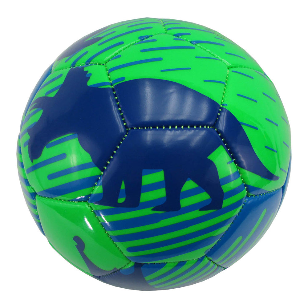 Vizari Sports, Ballon de football Dino-Vert/Bleu